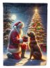 Chesapeake Bay Retriever and Santa Claus Garden Flag Mailbox Flag Decorative Yard Flag Banner Outside Patio Artwork Yard Flower Beds, Garden Size