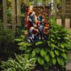 Great Dane and Santa Claus Garden Flag Mailbox Flag Decorative Yard Flag Banner Outside Patio Artwork Yard Flower Beds, Garden Size, Multicolor