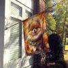 Pomeranian Fall House Flag Large Porch Sleeve Pole Decorative Outside Yard Banner Artwork Wall Hanging, Polyester, House Size, Multicolor