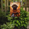 Chocolate Labrador Retriever Fall Garden Flag Mailbox Flag Decorative Yard Flag Banner Outside Patio Artwork Yard Flower Beds, Garden Size, Multicolor