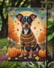 Miniature Pinscher Fall Garden Flag Mailbox Flag Decorative Yard Flag Banner Outside Patio Artwork Yard Flower Beds, Garden Size, Multicolor